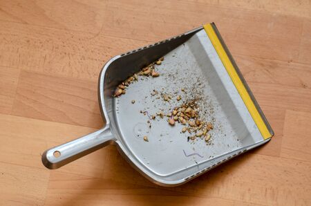 Gray Scoop with garbage. Plastic dustpan with domestic waste. View from above. Selective focus. Without people.の写真素材