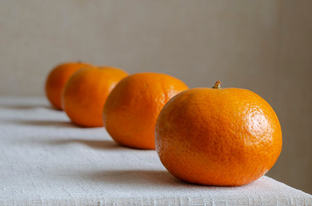 Line of tangerines on a light table. Four ripe tangerines in a row close-up. Ripe citrus fruits in...