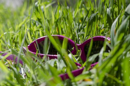Pink baby sunglasses in the grass. A closeup of pink glasses among stalks of lush grass on a green lawn. Bright sunny day. Ground level shooting. Selective focus.の写真素材