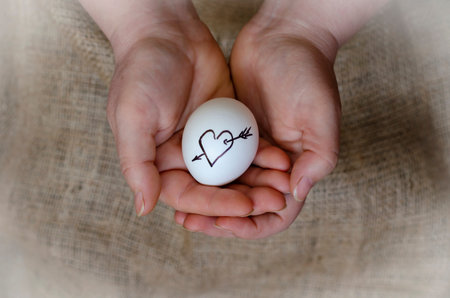 The symbol of love is painted on a chicken egg. Hands holding a raw egg with a heart and arrow...