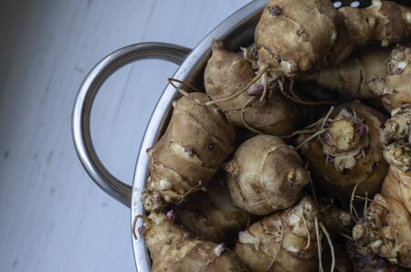 Raw Jerusalem artichoke in a colander. A group of freshly picked Jerusalem artichoke tubers in stainless steel utensils. Top view at an angle. Simple food. Selective focus.の写真素材