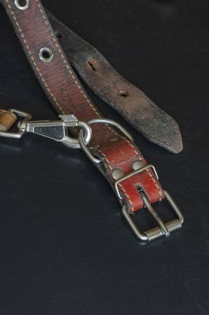 Old red leather dog collar with a leash. A close-up of a shabby and cracked dirty collar on a dark table and a metallic snap hook. Love to the animals. Vintage Collectibles. Selective focus.の写真素材