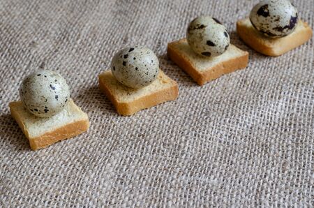 Square croutons and raw quail eggs on burlap. A line of croutons and quail eggs. Ingredients for a traditional dish. Top view at an angle. Selective focusの写真素材