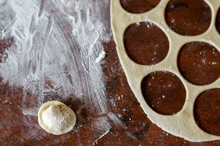 Kitchen table with thin dough, flour and a single raw dumpling. Cooking homemade meat dumplings with meat. Small family business. View from above. Selective focus.の写真素材