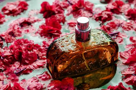 A bottle of perfume among burgundy leaves. Orange glass bottle with drops of water among floating leaves. Selective focus. Close-up.の写真素材