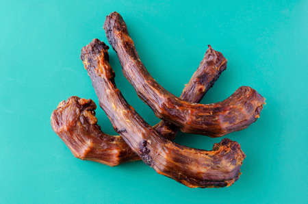 Three Dried turkey neck on a turquoise background. Dental treats for pets. Natural treats for promotion and pampering. Pet supplies.の写真素材