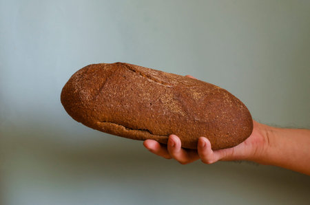 Hand holds a loaf of rye bread. The right hand of a man with an oval loaf of craft bread. Male...
