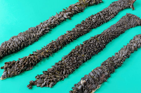 Strips of raw cow stomach on turquoise. Long stripes Black unpeeled tripe with grass residues. Beef...