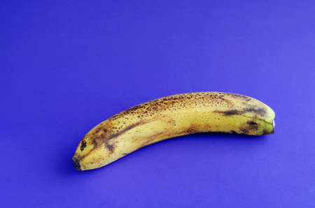 One overripe banana with brown spots on blue background. Ingredients for banana bread, desserts and other dishes. Healthy eating. Selective focusの写真素材