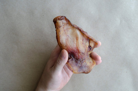 Hand of an adult Caucasian man holding dried pork ear. Natural dried dental treats for pets....
