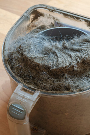 Vacuum cleaner container with garbage. A plastic waste container full of dust and wool. Cleaning...