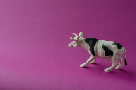 Figurine of white cow with black spots on purple background. Farm products, livestock concept. Copy space. Top view at an angle. Selective focus.の写真素材