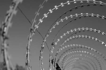 Barbed wire fence in receding perspective. Spiral turns of sharp wire against the background of a clear sky. Close-up. Selective focus. Monochromeの写真素材