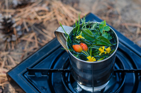 A metal mug with herbal tea on a portable gas stove in the forest. Preparation of herbal tea from...
