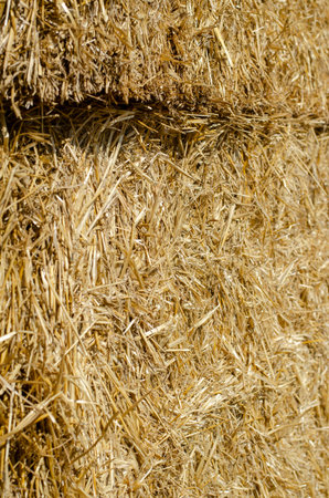Texture of dry straw in rectangular bales. Close-up of rectangular bales of straw. Natural...