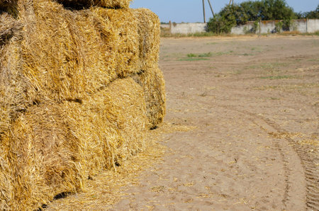 Bottom of a stack of Rectangular dry hay bales. Storage of dry herbs for feeding cows and other...
