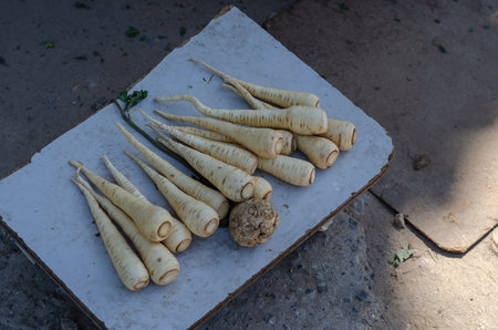 A group of parsley and celery roots on a wooden lining on the ground. Root trade at the local street...