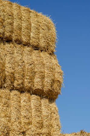 Rectangular bales of dry hay against the blue sky. Storage of dry herbs for feeding cows and other animals. Yellow straw in rectangular bales.の写真素材