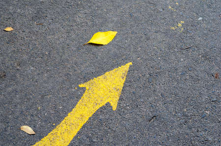 Yellow arrow painted on asphalt road. Sign among fallen leaves. View from above at an angle.の写真素材