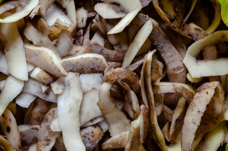 Raw potato peeling close-up. True dirty root husk full frame. Food waste texture
