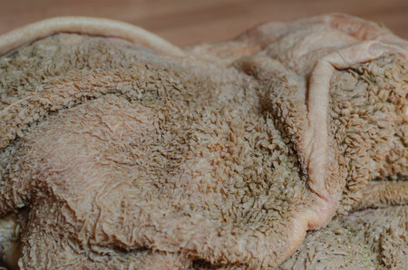 Raw cow stomach close-up. Washed but not purified beef stomach in a whole piece. Raw by-products....
