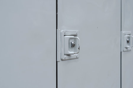 Specialized commercial transport, auto refregerator. White truck body, divided into separate...