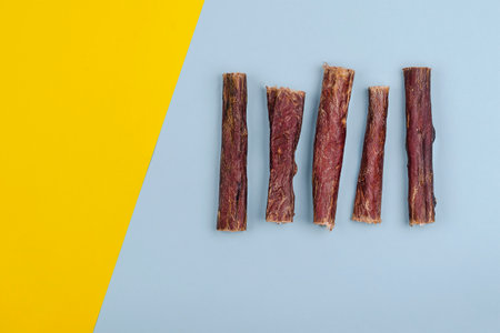 Dried natural healthy treats for dogs. Beef esophagus sticks on a yellow and blue background. Dehydrated meat. Dog food. Pet Supplies. Top view, flat lay.の写真素材