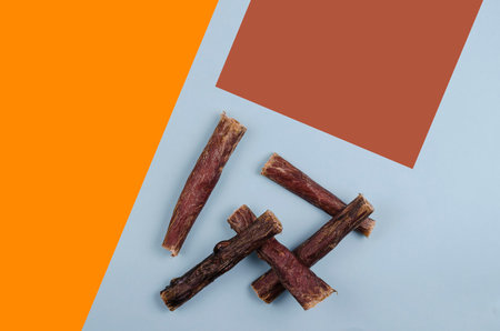Geometric composition with Dried natural healthy treats for dogs. Beef esophagus sticks on a colorful background. Dehydrated meat. Dog food, Chew treats, Pet supplies. Top view, flat lay.の写真素材