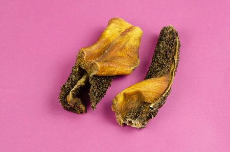 Natural healthy treats for dogs of premium quality. Dried beef stomach, buffalo tripe on a pink background. Dehydrated meat. Dog food, Chew treats, Pet supplies. Close-up, selective focus.の写真素材