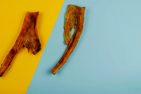 Natural dental treats for dogs. Chew Treats. Dried beef tendons on a two-color background. Flat Lay.