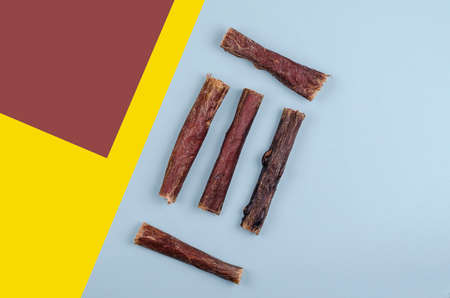 Geometric composition with Dried natural healthy treats for dogs. Beef esophagus sticks on a colorful background. Dehydrated meat. Dog food, Chew treats, Pet supplies. Top view, flat lay.の写真素材