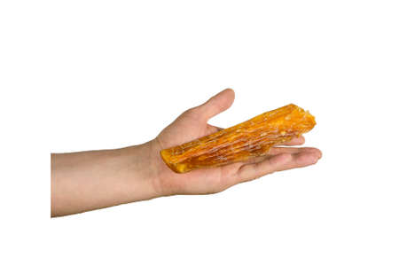 Dried beef tendon, chews treats for dogs. Men's Hand holds the Natural Beef Strap. Side view. Isolate on white background.の写真素材