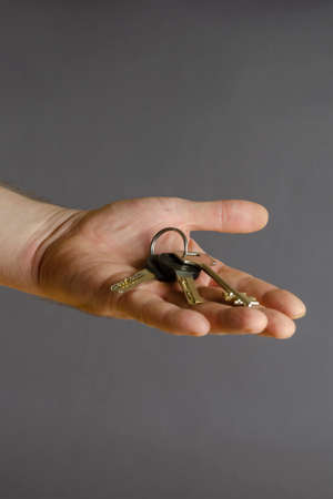 Hand holds a bunch of door keys on a gray background. Male hand and random metal keys. Side view. Background focus ..の写真素材