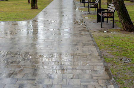 Wet path in the park after rain. Empty park with brown benches. Puddles on gray paving slabs. Weather, atmospheric phenomena.の写真素材