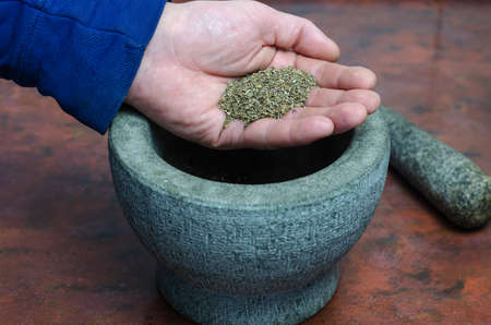 Dry basil in a man's hand close-up. A portion of dried spices in the palm of his hand. Gray stone mortar with pestle in the background. Grinding dried herbs and spices for further cooking.の写真素材
