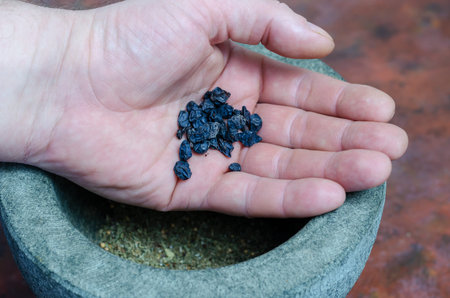 Dry barberry in a man's hand close-up. A portion of dried berries in the palm of the hand. Gray...