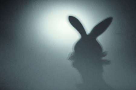 Abstract unfocused shadow of a rabbit on a gray-blue background. The blurry silhouette of the eared pet. Side view. Copy spaceの写真素材
