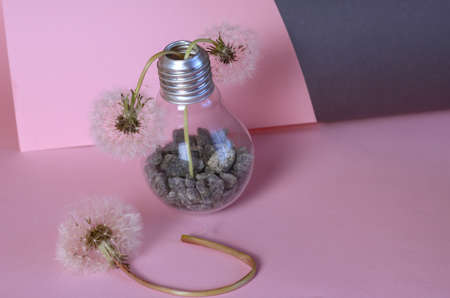 Wilted flowers and an electric lamp on a gray-pink background. Lamp with gravel inside and faded dandelions. Side view.の写真素材