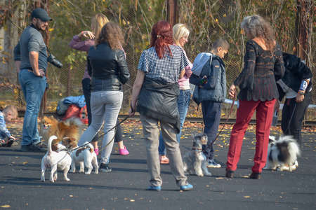 Owners with their pets and a photographer. Spitz, Jack Russell Terrier, Miniature Pinscher, Papillon, at the dog show. Sunny autumn day. Back view. Kherson, Ukraine - 10 21 2018のeditorial素材