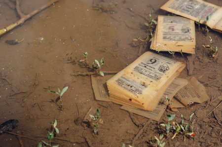 Irretrievably Lost Time Concept. Pages of an old tear-off calendar floating in a muddy puddle....
