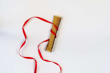 One Dog treat and red ribbon on white. Air dried pet chew stick. Bully stick. Beef pizzle. Top view. Copy space.の写真素材
