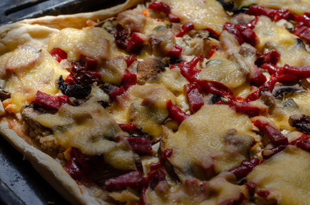 A close-up of a homemade pizza tray. Salami, turkey, mushrooms, tomatoes, sauce, cheese. Food ready...