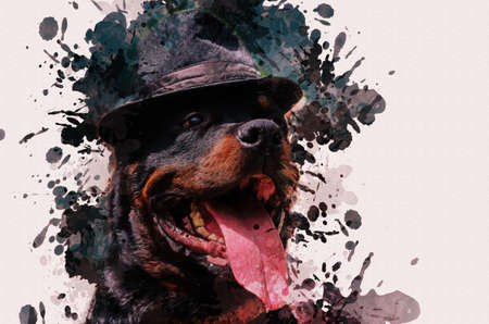 Digital watercolor painting. Portrait of a dog wearing a hat with a narrow brim on the outside. Adult male Rottweiler sitting in a headdress with his mouth open and his tongue hanging out. Petsの写真素材