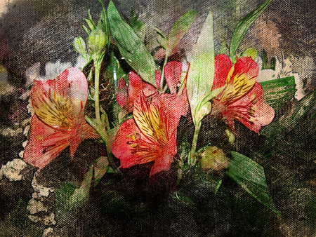 A bouquet of red and white flowers with large green leaves. Alstroemeria is commonly called the Peruvian lily or lily of the Incas. Digital watercolor painting. Modern art.の写真素材