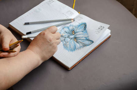 Adult Woman draws a cat in colored pencils on the pages of an open planner with a yellow bookmark. Academic drawing of a Blue hand-drawn pet. Talent, art.の写真素材