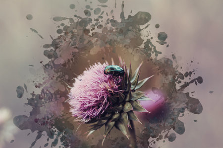 Purple thistle flower with beetle. A green mother-of-pearl beetle hides in a beautiful wildflower...