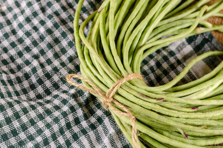 The raw green bean pods are tied with twine. Long raw bean asparagus pods opposite the white-green...