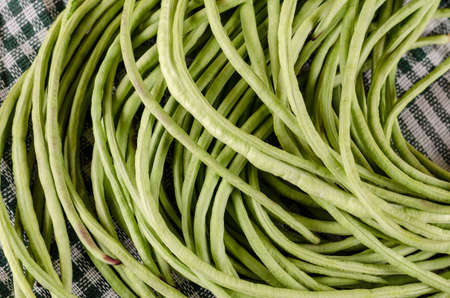 Raw green bean pods close-up. Long raw bean pods of asparagus in front of the white and green checkered textile. Healthy Food. Selective focus.の写真素材