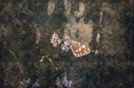 A butterfly sits on a Purple Flower against a brown-green background. Insect and wildflower in a summer morning forest. Digital watercolor painting. Modern Artの写真素材