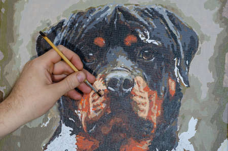 Man paints picture by number. Portrait of Rottweiler dog. Learning to draw, home entertainment. Talent and Creativity Concept.の写真素材